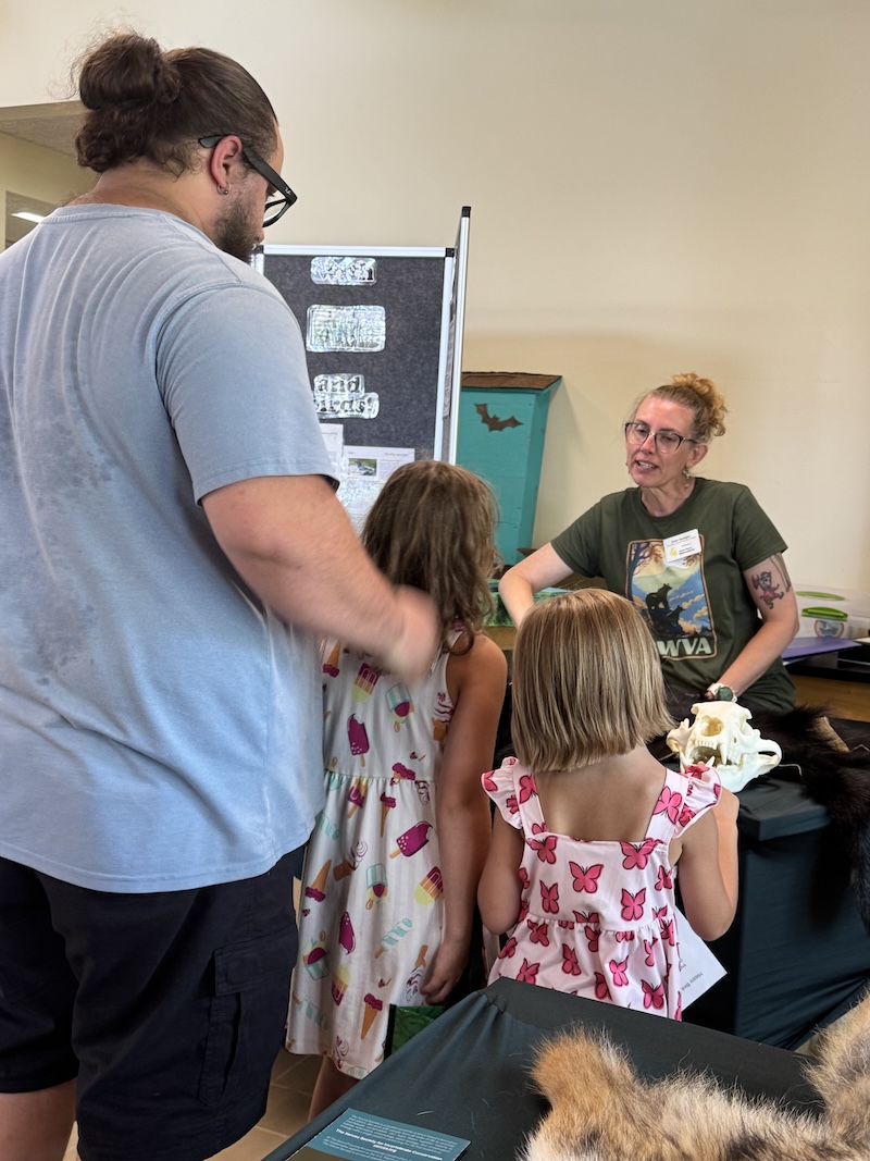 volunteer talks to an adult and two children in front of a table with mammal pelts and skulls
