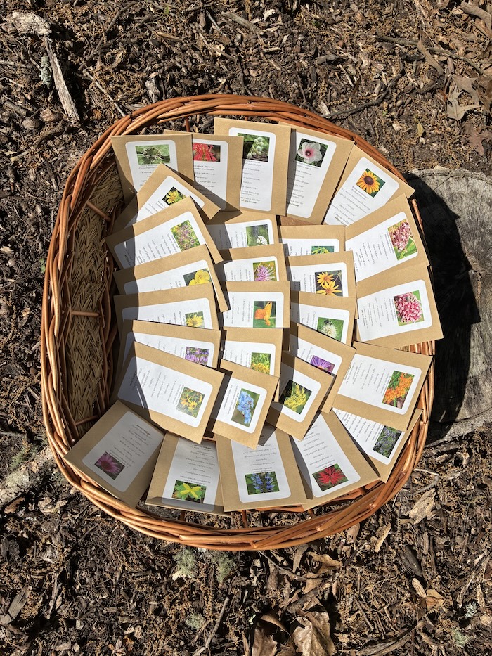 basket filled with packets of plant seeds with colorful labels